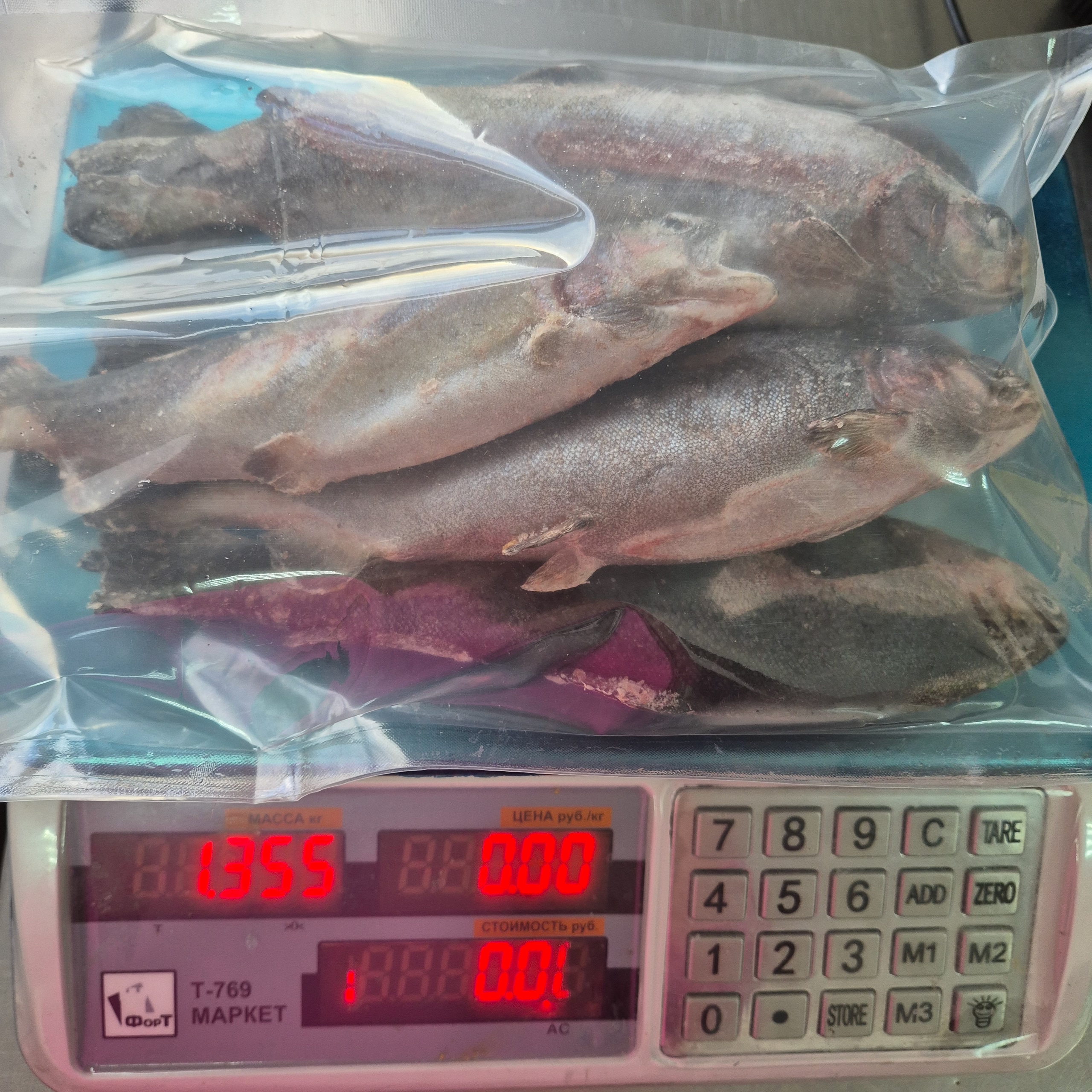 Форель мороженая порционная