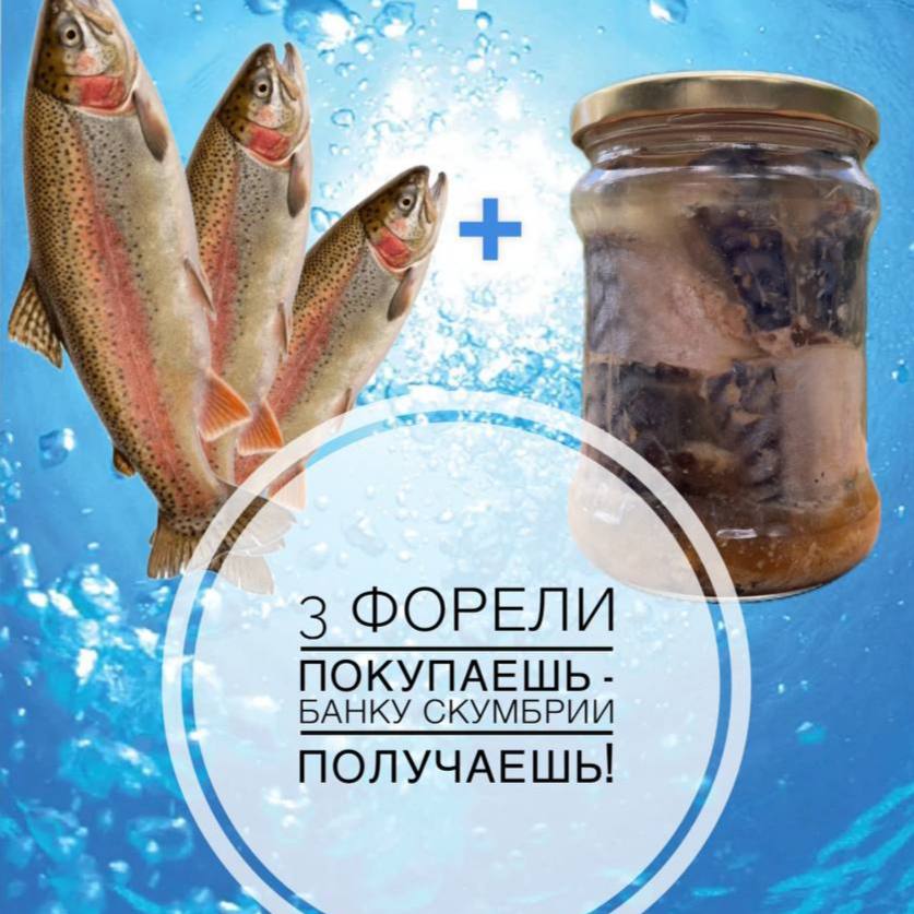 Форель свежая! 3 форели = скумбрия