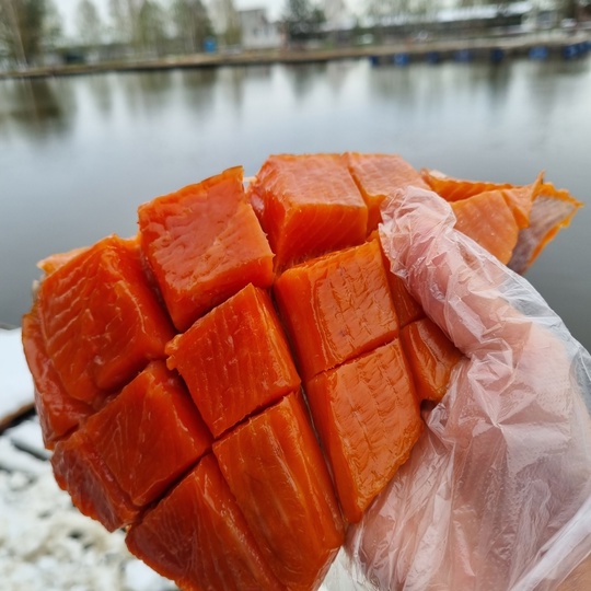 Юкола