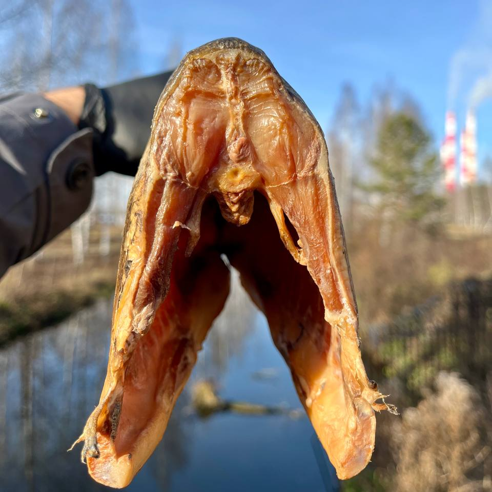 Толстолобик холодного копчения