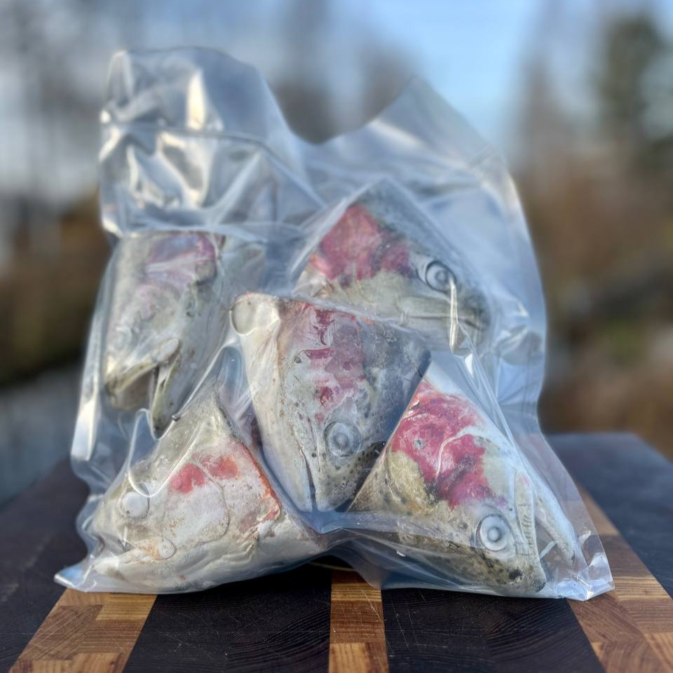 Головы форели мороженые