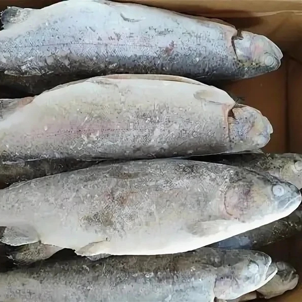 Форель мороженая крупная