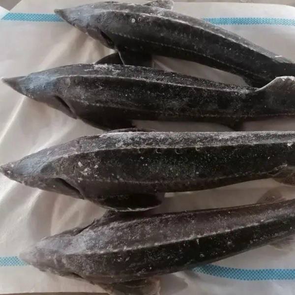 Стерлядь мороженая