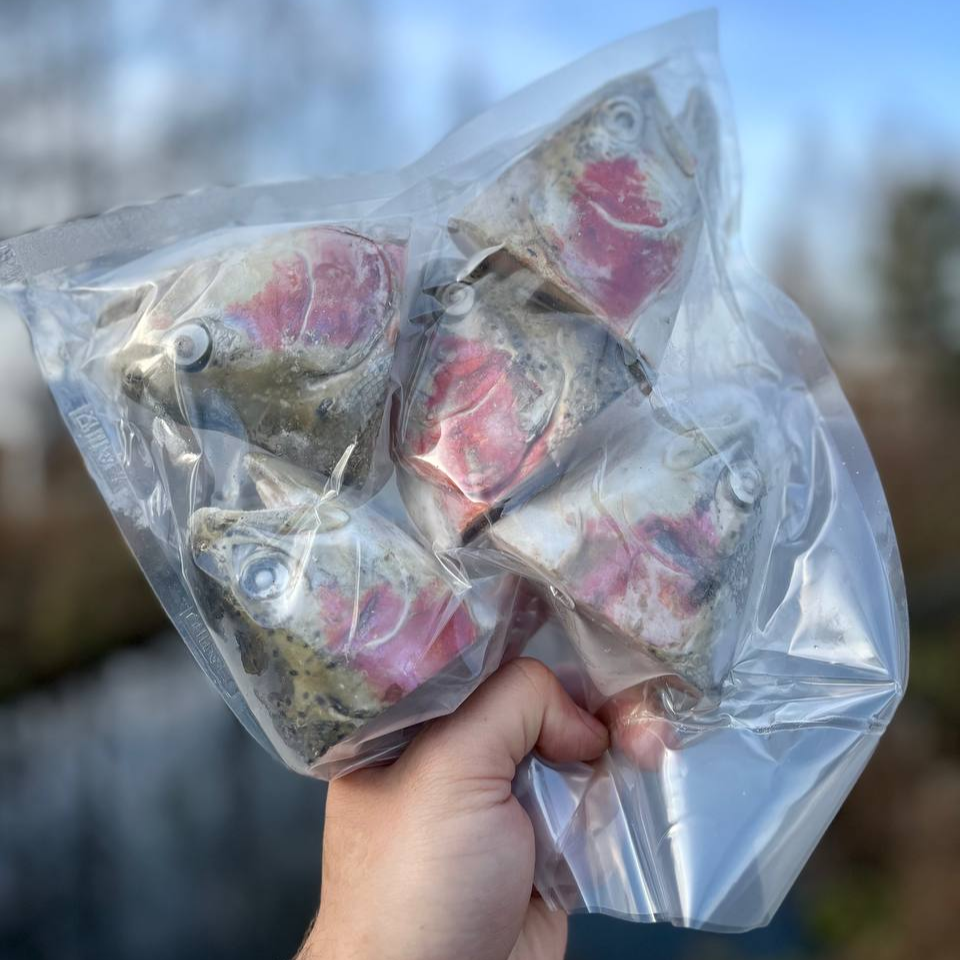 Головы форели мороженые
