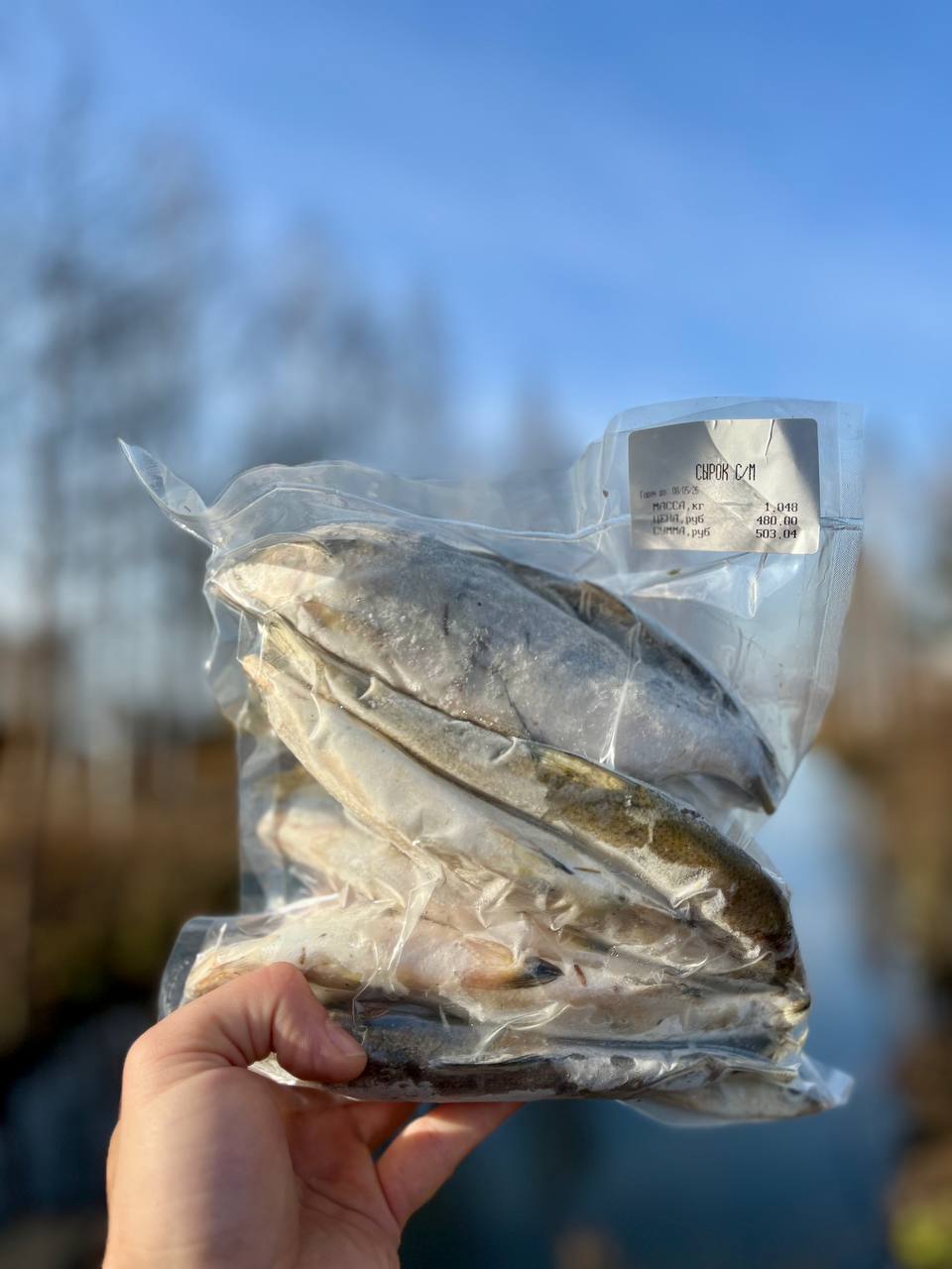 Сырок (пелядь) свежемороженный