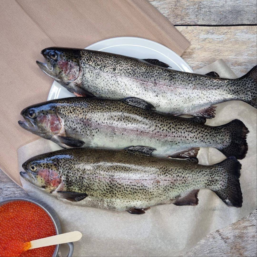 Форель мелкая, охлажденная