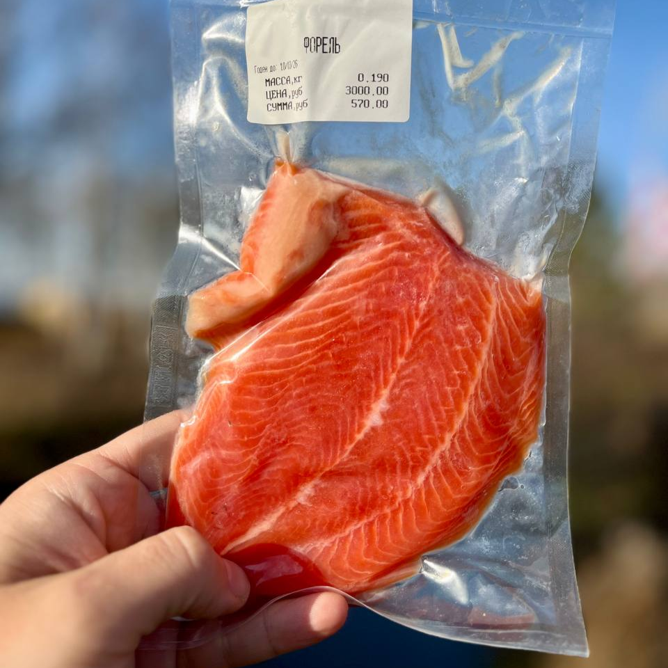 Филе форели слабосоленое