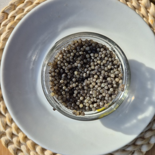 Икра стерляди 0,1 кг