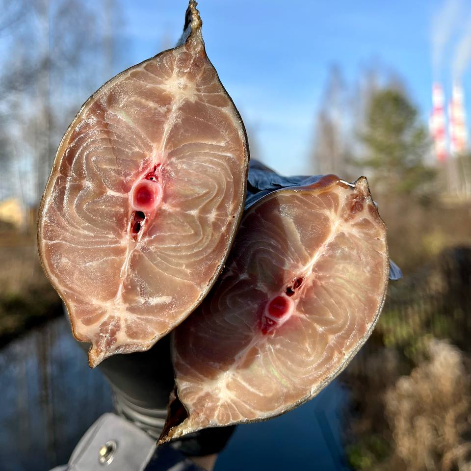 Сомик холодного копчения